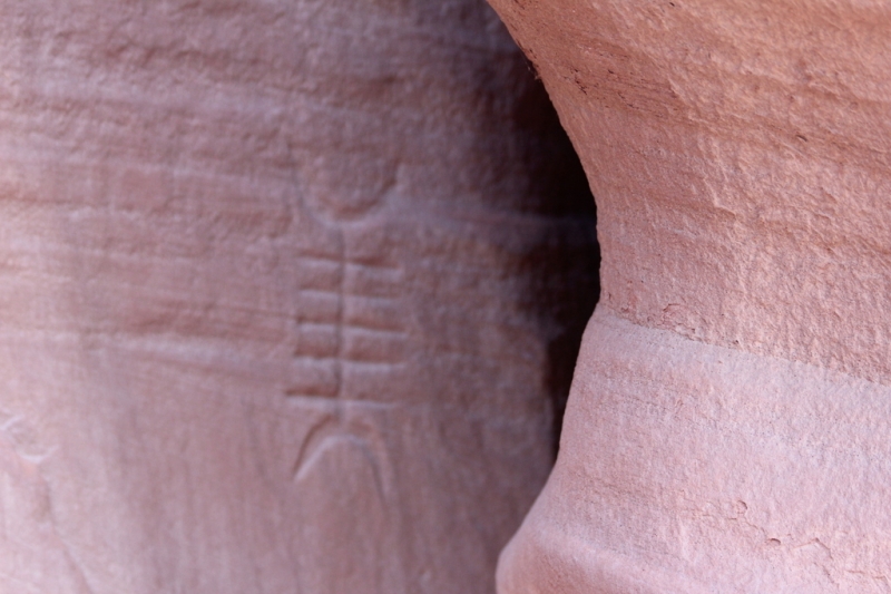  Hopi petroglyph