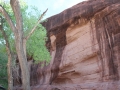 The canyon walls