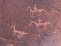  Navajo petroglyphs